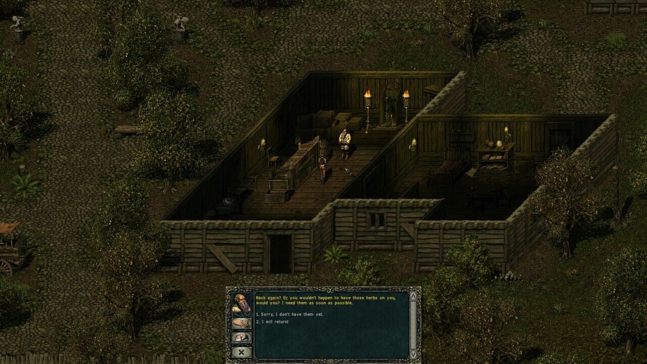 Divine Divinity screenshot 1